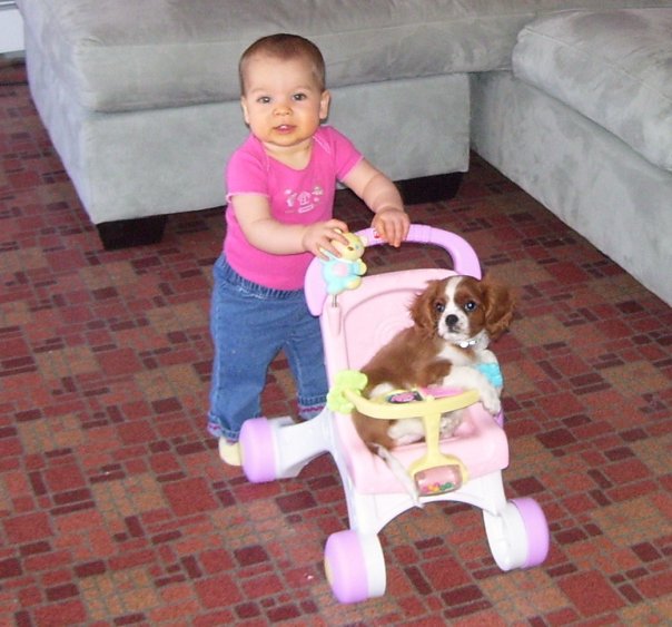 1910418_142159300393_2373635_n